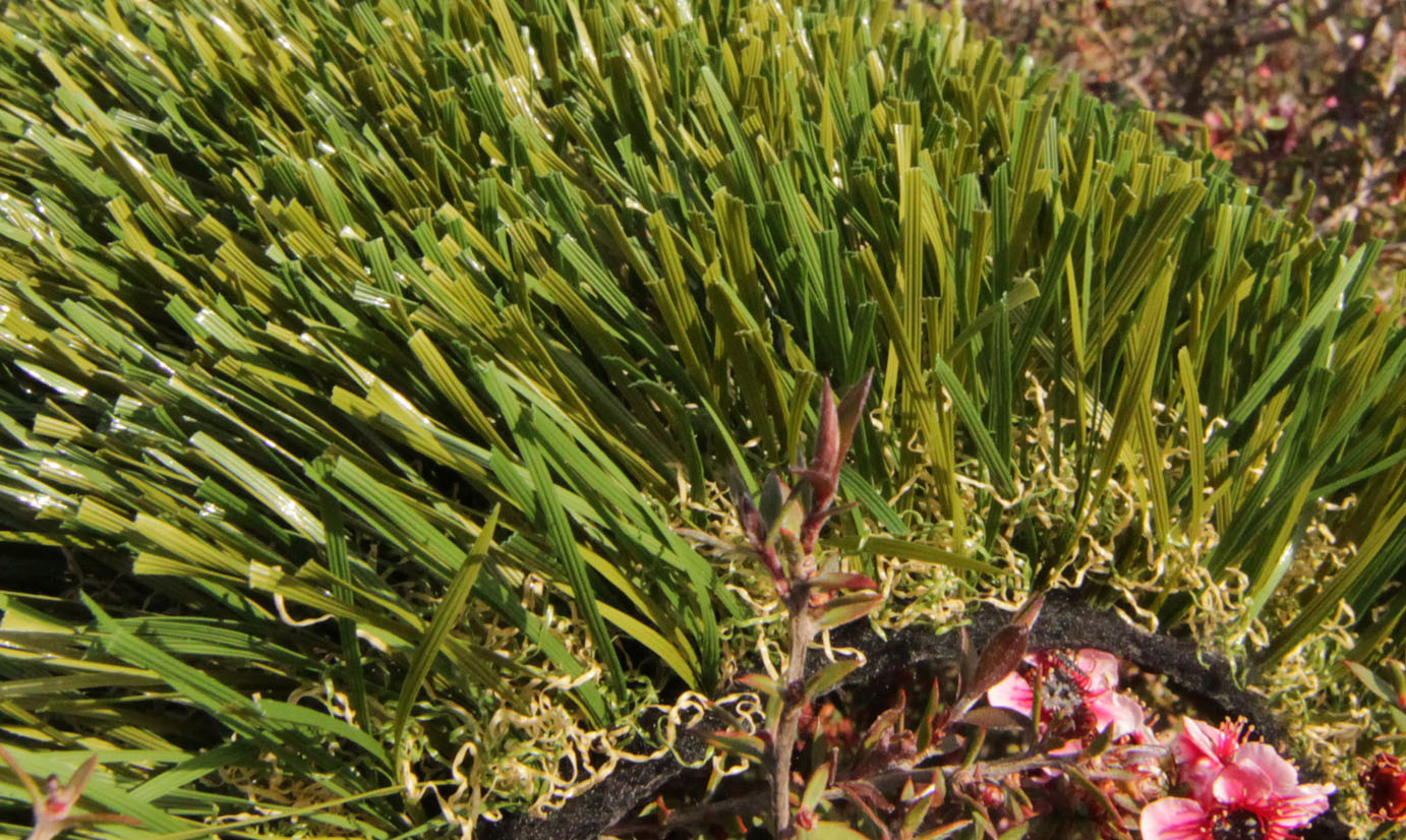 Artificial Grass Double S-61 Fake Grass