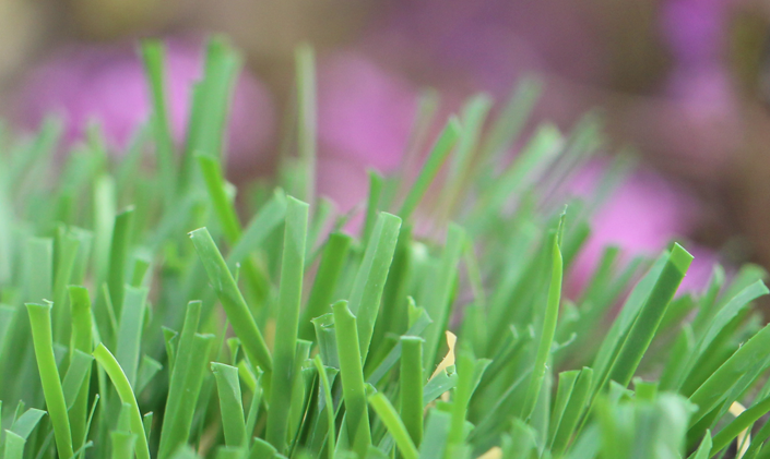 Artificial Grass Emerald-52 Artificial Grass Santa Barbara California