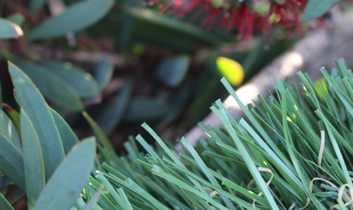 Artificial Grass Emerald Super-100 Artificial Grass Santa Barbara California