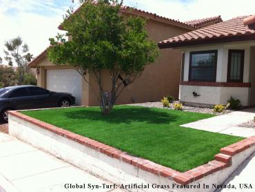 Artificial Grass Photos: Artificial Grass Carpet Buellton, California Design Ideas, Front Yard Landscaping