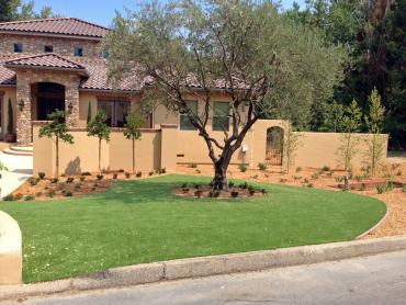 Artificial Grass Photos: Artificial Grass Carpet Goleta, California Home And Garden, Front Yard Design