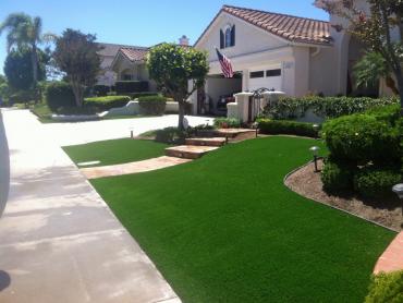 Artificial Grass Photos: Artificial Grass Carpet Los Olivos, California Gardeners, Front Yard Ideas