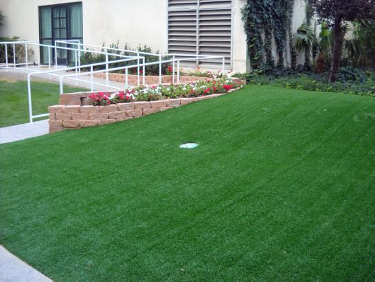 Artificial Grass Photos: Artificial Grass Carpet New Cuyama, California Lawn And Garden, Landscaping Ideas For Front Yard