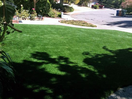 Artificial Grass Photos: Artificial Grass Installation Buellton, California Lawn And Garden, Front Yard Landscaping