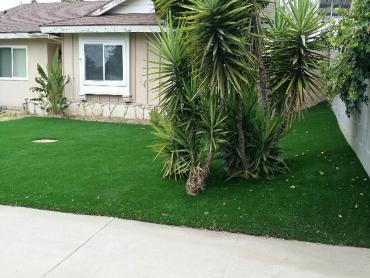 Artificial Grass Photos: Artificial Grass Vandenberg Village, California Lawn And Landscape, Front Yard Landscaping
