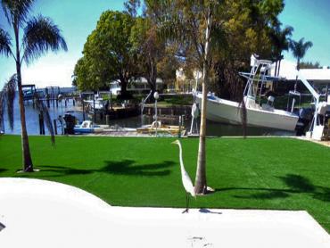 Artificial Grass Photos: Artificial Lawn Casmalia, California Garden Ideas, Backyard Designs