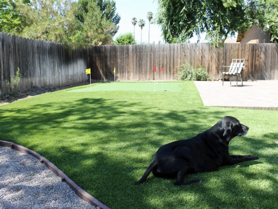 Artificial Grass Photos: Artificial Lawn Casmalia, California Hotel For Dogs, Dogs