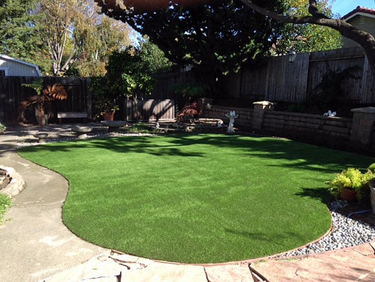 Artificial Grass Photos: Artificial Lawn Casmalia, California Lawn And Garden, Backyard