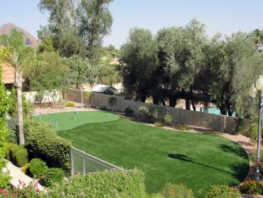 Artificial Grass Photos: Artificial Lawn Goleta, California Putting Green Flags, Backyard Landscape Ideas