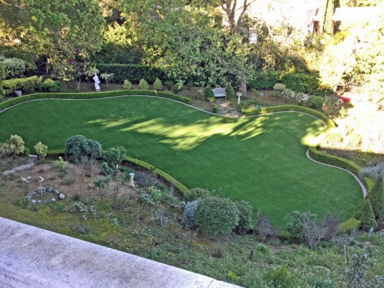 Artificial Grass Photos: Artificial Lawn Los Olivos, California Fake Grass For Dogs, Backyard Landscaping Ideas