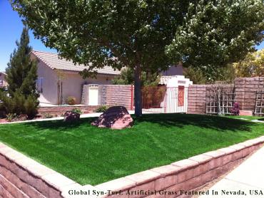 Artificial Lawn New Cuyama, California Lawn And Garden, Small Front Yard Landscaping artificial grass