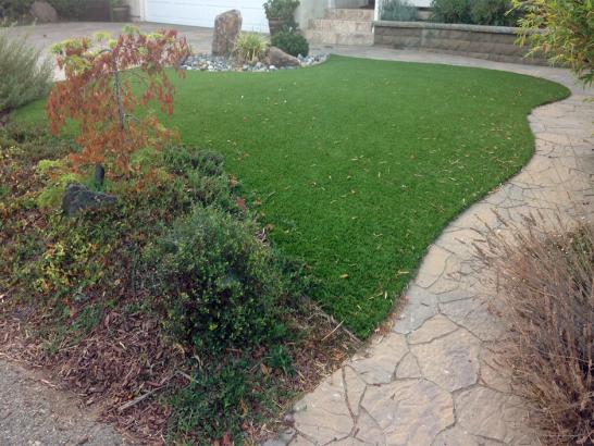 Artificial Grass Photos: Artificial Lawn Solvang, California Artificial Grass For Dogs, Backyard Landscape Ideas