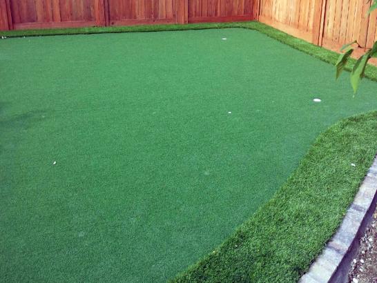 Artificial Grass Photos: Artificial Turf Cost Santa Ynez, California Diy Putting Green, Backyard Landscaping Ideas