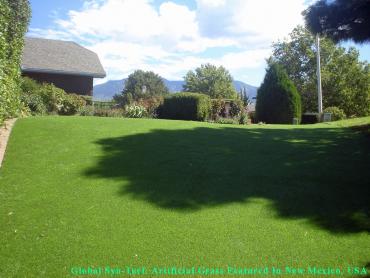 Artificial Grass Photos: Artificial Turf Installation Isla Vista, California Design Ideas, Small Backyard Ideas