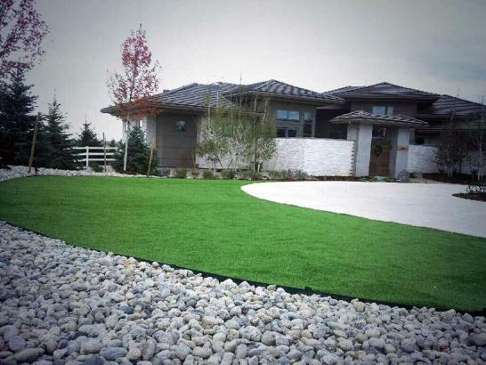 Artificial Grass Photos: Artificial Turf Installation Orcutt, California Landscape Ideas, Landscaping Ideas For Front Yard