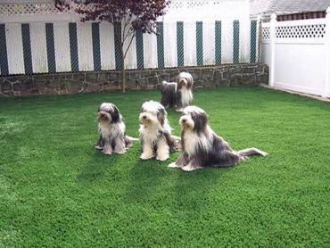 Artificial Grass Photos: Artificial Turf Installation Santa Maria, California Dog Pound, Backyard Garden Ideas