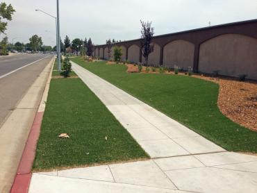 Artificial Grass Photos: Artificial Turf Installation Summerland, California Gardeners, Commercial Landscape