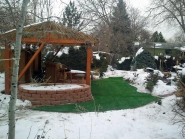 Artificial Grass Photos: Artificial Turf Los Alamos, California Landscaping Business, Cold Weather