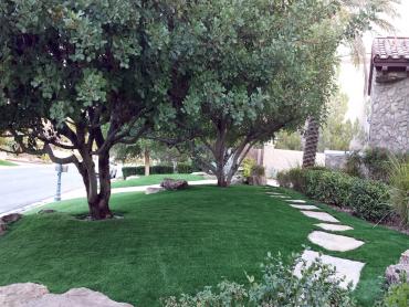 Artificial Grass Photos: Artificial Turf Summerland, California Landscape Design, Front Yard