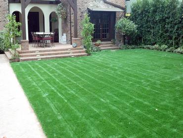 Artificial Grass Photos: Best Artificial Grass Casmalia, California Landscaping Business, Front Yard Landscaping Ideas