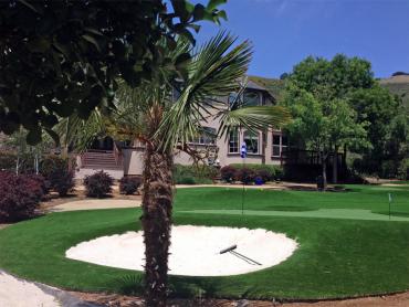 Artificial Grass Photos: Best Artificial Grass Toro Canyon, California Best Indoor Putting Green, Front Yard Landscaping