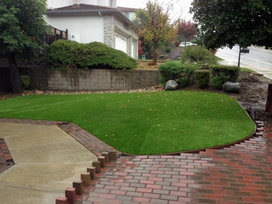 Artificial Grass Photos: Fake Grass Carpet Isla Vista, California Home And Garden, Backyard Landscaping Ideas