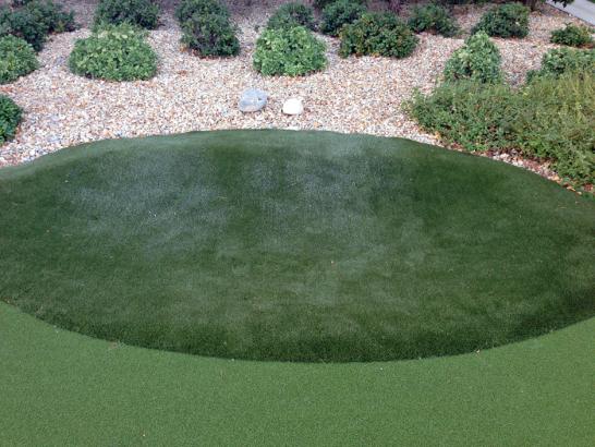Artificial Grass Photos: Fake Grass Guadalupe, California Landscape Ideas