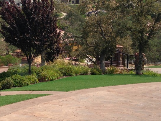 Artificial Grass Photos: Fake Grass New Cuyama, California Landscaping Business, Commercial Landscape