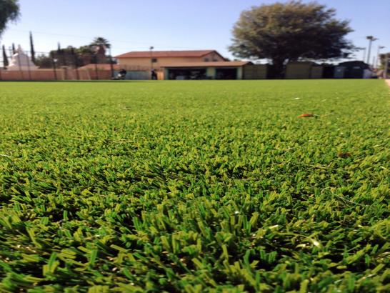 Artificial Grass Photos: Fake Lawn Carpinteria, California Landscaping