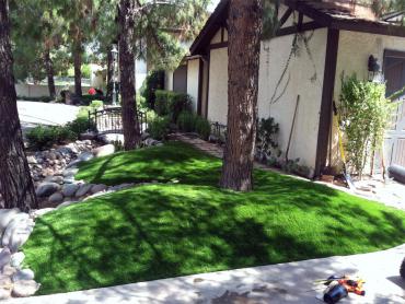 Artificial Grass Photos: Fake Lawn Goleta, California, Front Yard Design
