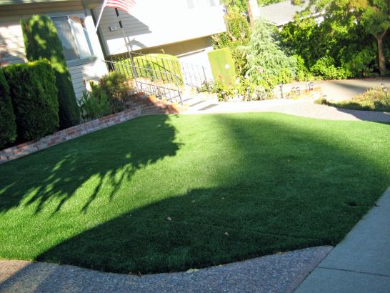 Artificial Grass Photos: Fake Lawn Santa Barbara, California Landscape Design, Front Yard