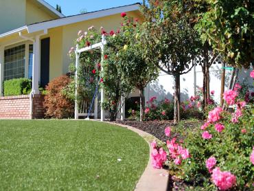 Artificial Grass Photos: Fake Lawn Santa Maria, California Gardeners, Landscaping Ideas For Front Yard