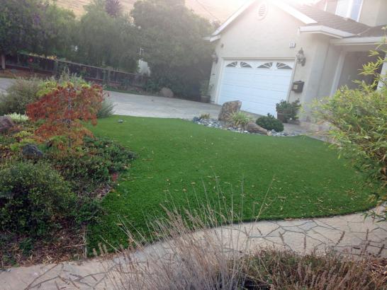 Artificial Grass Photos: Fake Turf Carpinteria, California Gardeners, Front Yard Design