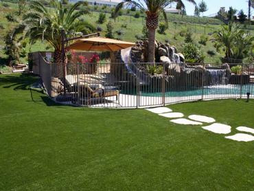 Artificial Grass Photos: Fake Turf Casmalia, California Landscape Design, Above Ground Swimming Pool