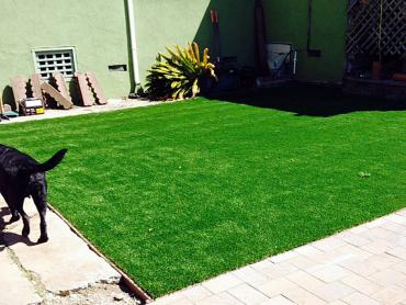 Artificial Grass Photos: Fake Turf Los Olivos, California Pictures Of Dogs, Backyard