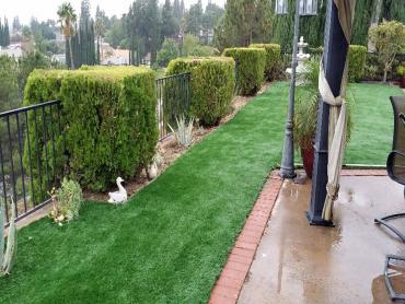 Artificial Grass Photos: Fake Turf Solvang, California Paver Patio, Backyard Ideas