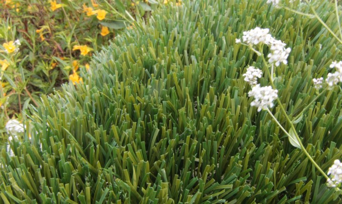 Double S-72 fakegrass Artificial Grass Santa Barbara California