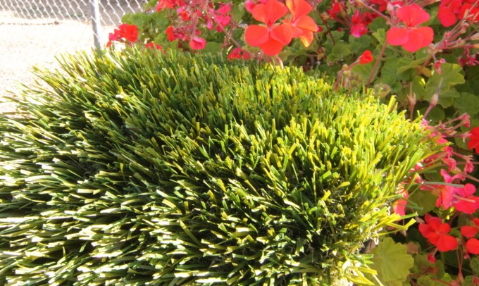 Double S-72 fakegrass Artificial Grass Santa Barbara California