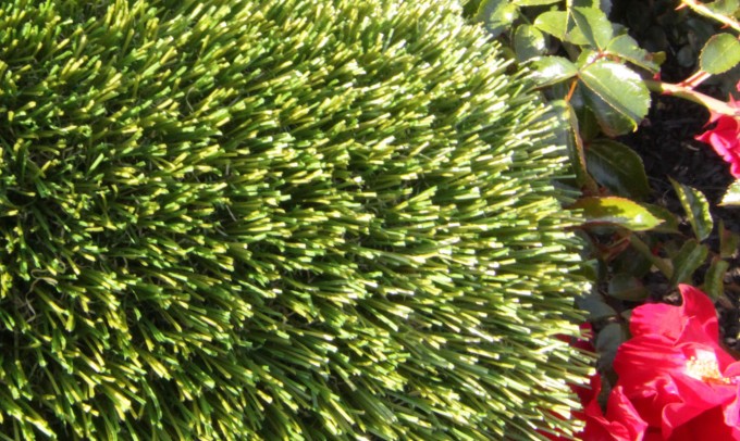 V Blade-64 fakegrass Artificial Grass Santa Barbara California