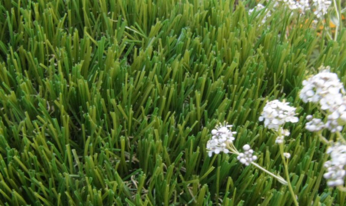 V Blade-77 fakegrass Artificial Grass Santa Barbara California