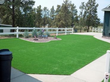 Artificial Grass Photos: Faux Grass Buellton, California Landscape Design, Front Yard Landscape Ideas