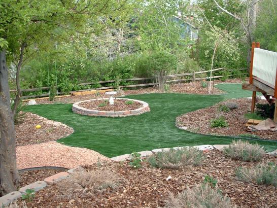 Artificial Grass Photos: Faux Grass Cuyama, California Backyard Playground, Backyards