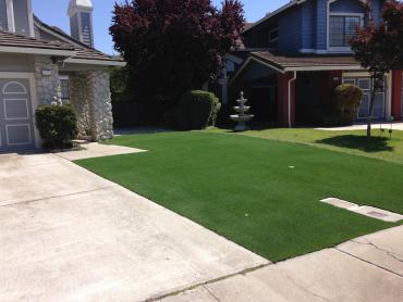 Artificial Grass Photos: Faux Grass Los Olivos, California Lawn And Landscape, Small Front Yard Landscaping