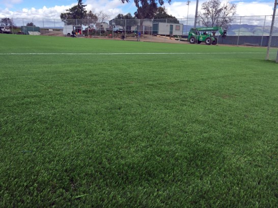 Artificial Grass Photos: Faux Grass Sisquoc, California Sports Athority