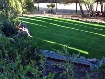 Artificial Grass Photos: Faux Grass Solvang, California Landscaping, Backyards