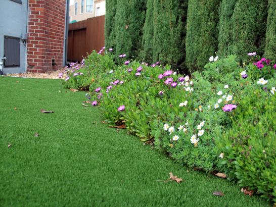 Artificial Grass Photos: Grass Carpet Garey, California Landscape Ideas, Front Yard