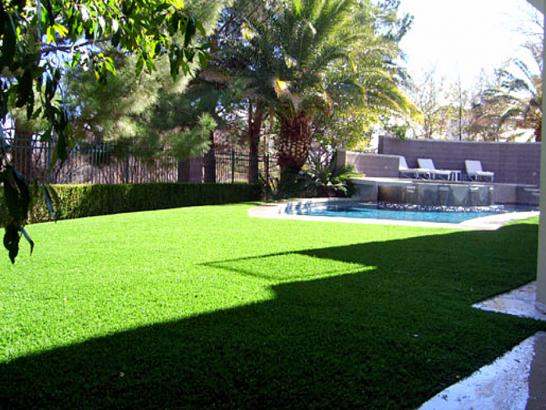 Artificial Grass Photos: Grass Carpet Goleta, California Lawn And Garden, Backyard Pool
