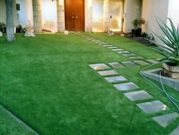 Artificial Grass Photos: Grass Carpet Los Alamos, California Backyard Deck Ideas, Pavers