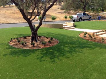 Artificial Grass Photos: Grass Carpet Los Olivos, California Gardeners, Front Yard Landscape Ideas