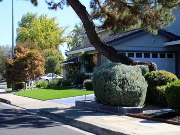 Artificial Grass Photos: Grass Carpet Mission Canyon, California Landscaping, Small Front Yard Landscaping